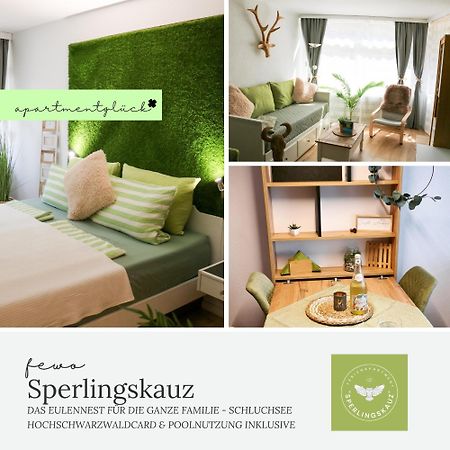 Fewo Sperlingskauz Mit Pool, Sauna & Hochschwarzwaldcard Шлухзее Екстериор снимка