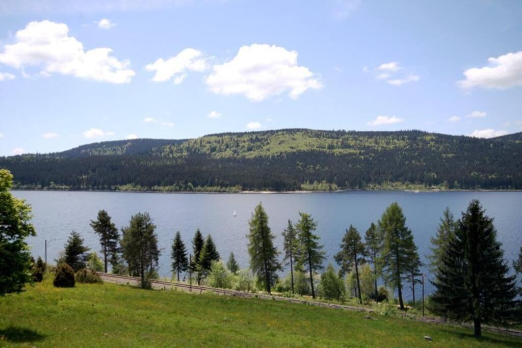 Fewo Sperlingskauz Mit Pool, Sauna & Hochschwarzwaldcard Шлухзее Екстериор снимка