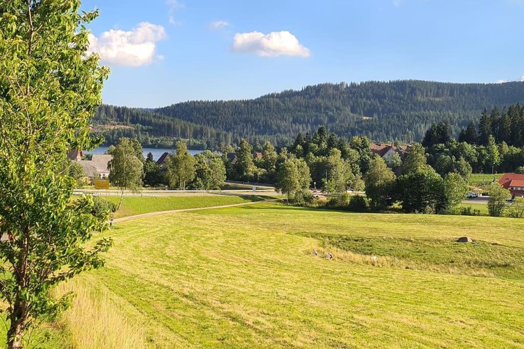 Fewo Sperlingskauz Mit Pool, Sauna & Hochschwarzwaldcard Шлухзее Екстериор снимка