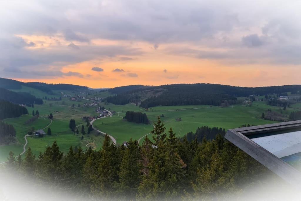 Fewo Sperlingskauz Mit Pool, Sauna & Hochschwarzwaldcard Шлухзее Екстериор снимка