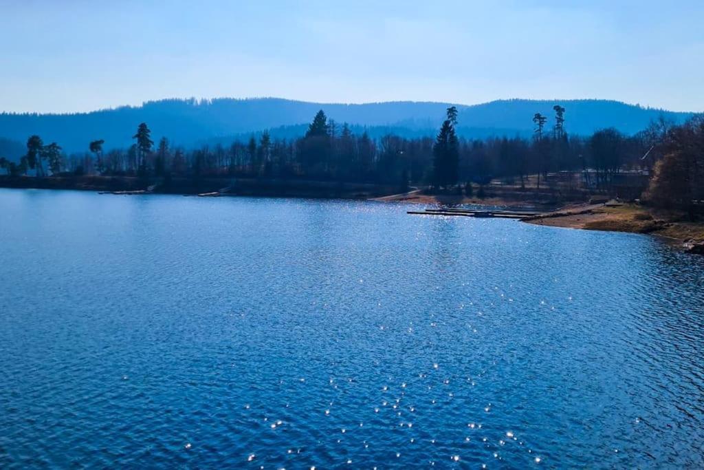 Fewo Sperlingskauz Mit Pool, Sauna & Hochschwarzwaldcard Шлухзее Екстериор снимка