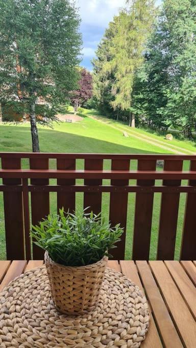 Fewo Sperlingskauz Mit Pool, Sauna & Hochschwarzwaldcard Шлухзее Екстериор снимка